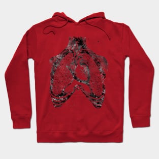 Human heart and lungs Hoodie